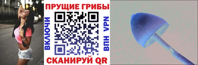 kraken онион  Каменногорск  Галлюциногенные грибы мухоморы 